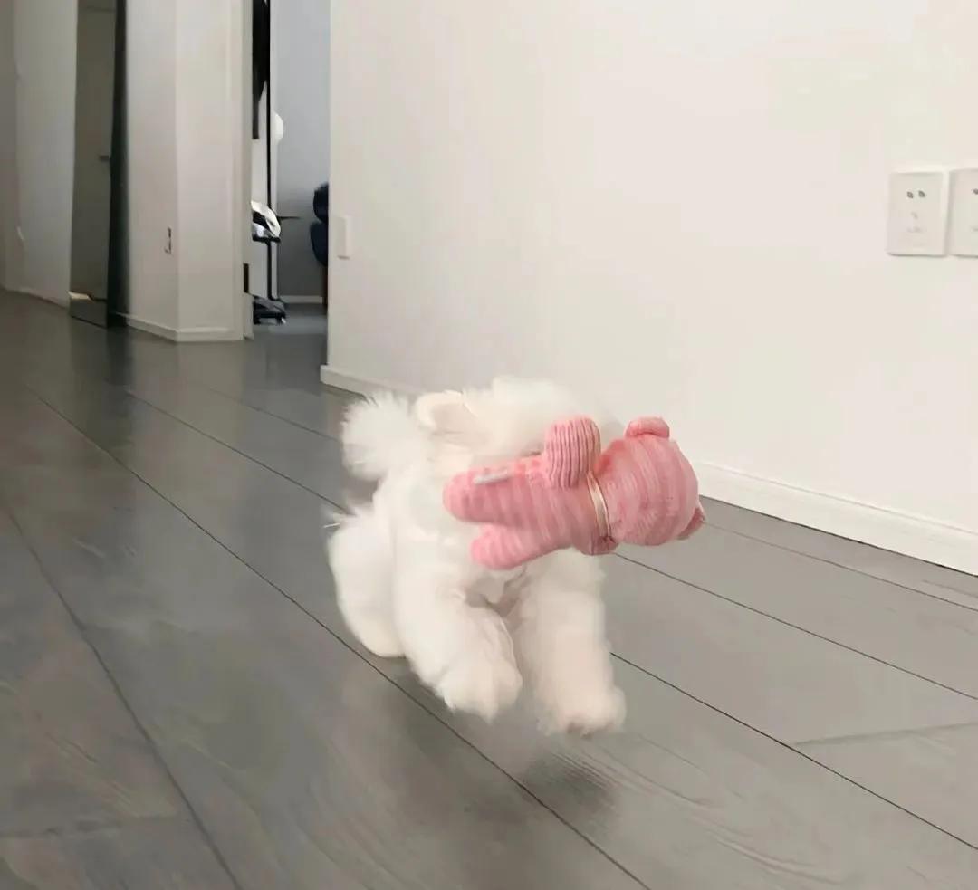 名言警句摘抄大全高中,名言警句小学生