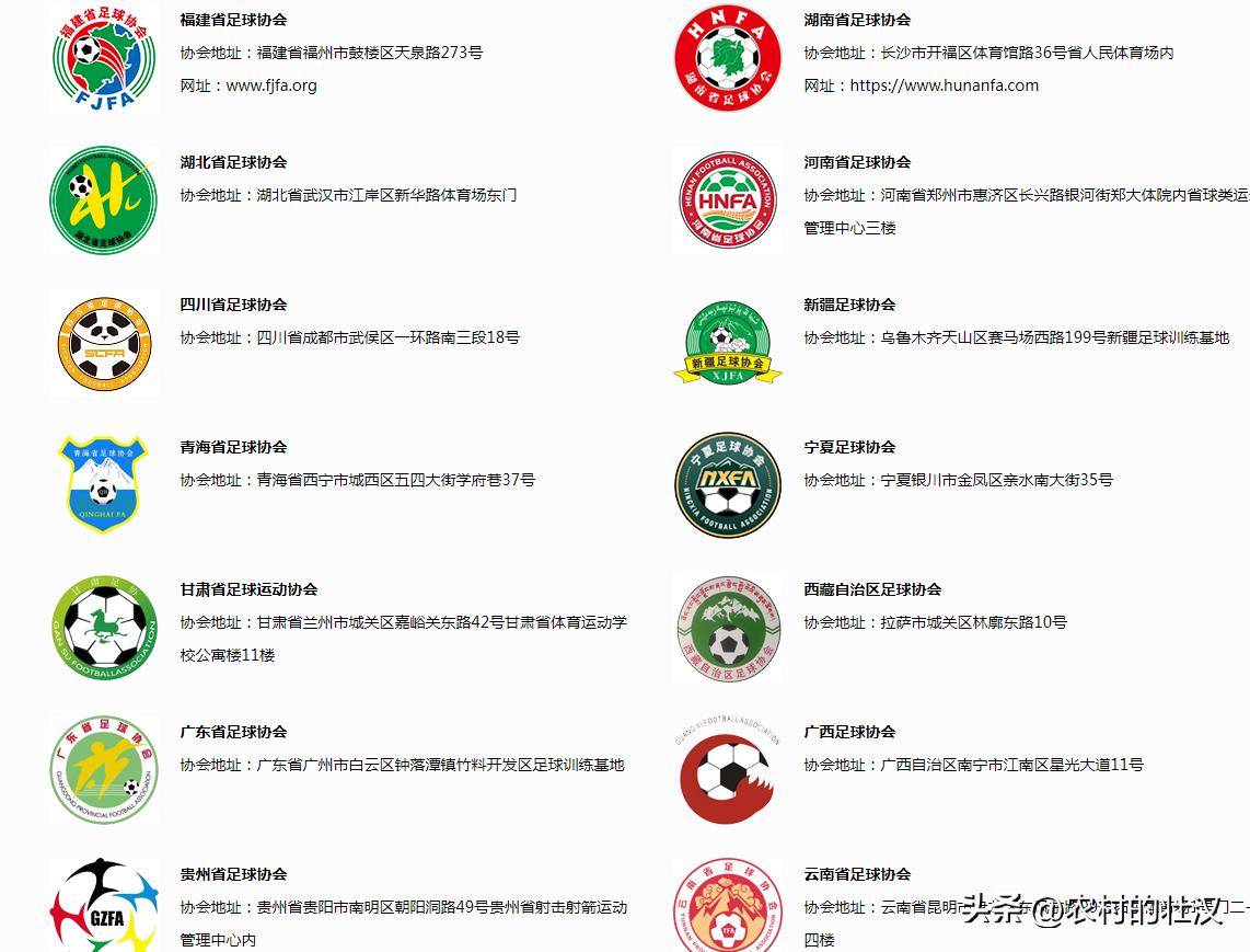 国内专业足球比赛,国内踢球怎么参加比赛