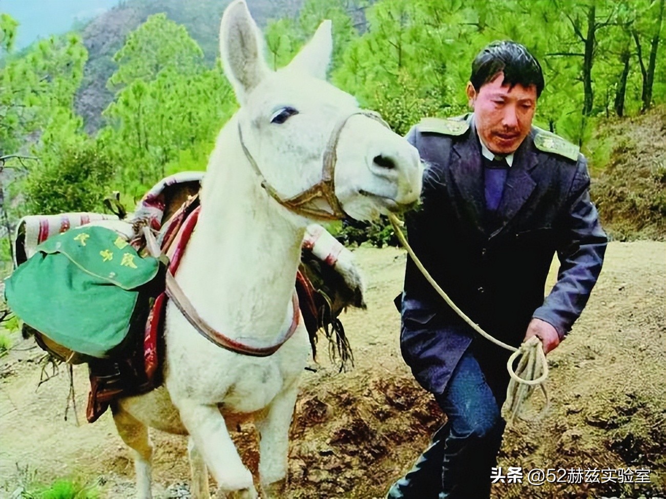 简述中国邮政快递的优势和劣势,中国邮政快递发展史和现状