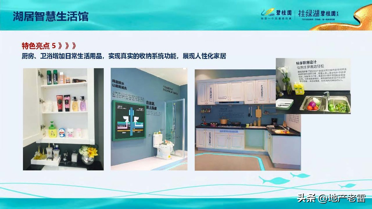 碧桂园精准发展方案,碧桂园的商品房改造方案