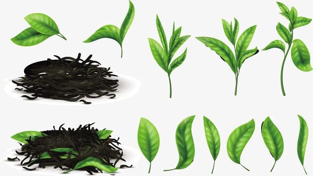 春天喝哪种茶对身体好,春季适合喝什么茶需要注意什么