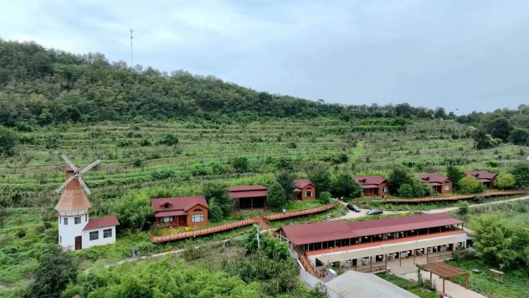 洛宁县上戈镇红富士苹果,洛宁县上戈镇苹果节啥时间