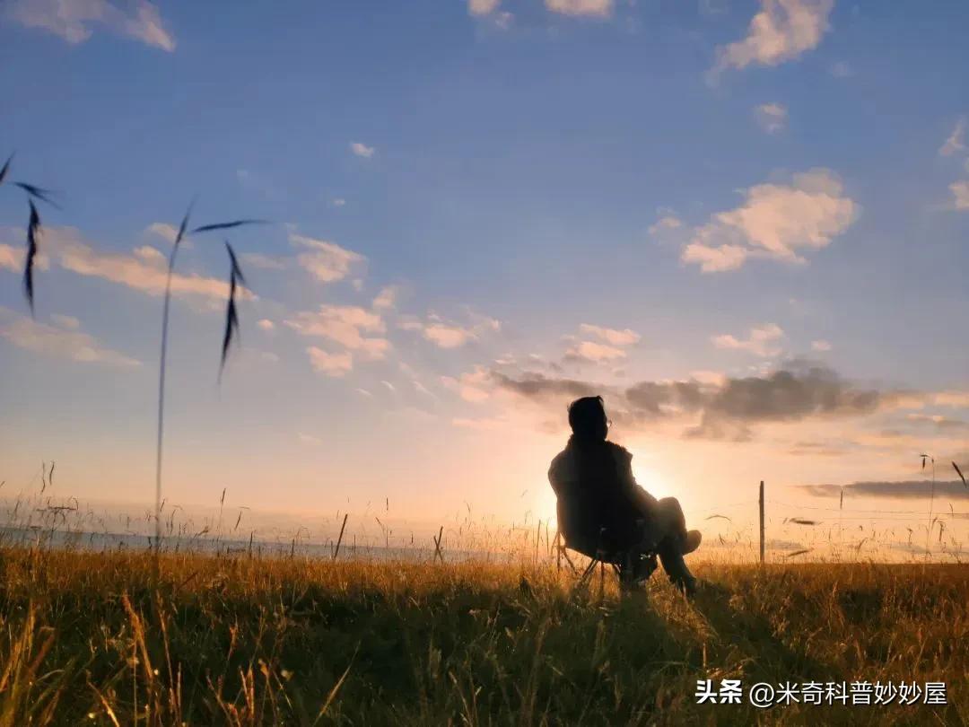 体力劳动能增强体质吗,体力劳动能提高身体素质吗