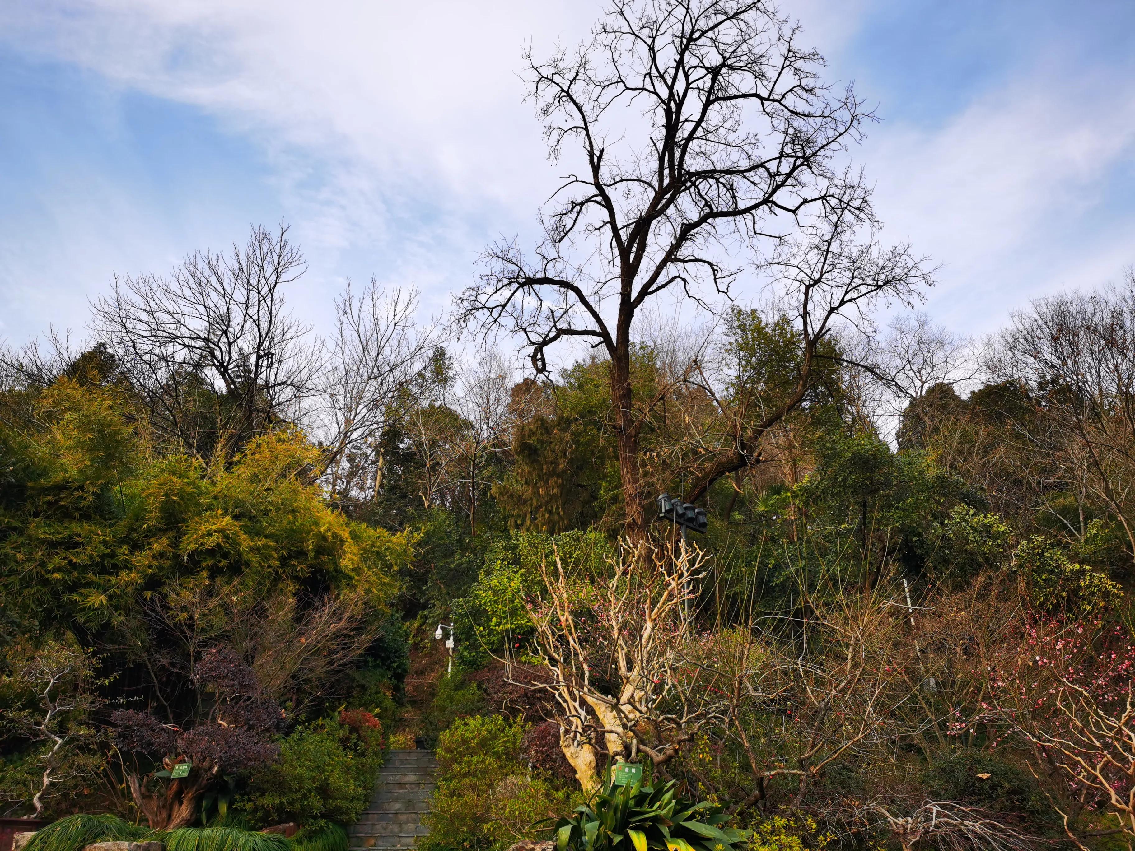 黄鹤楼十四景,黄鹤楼外游