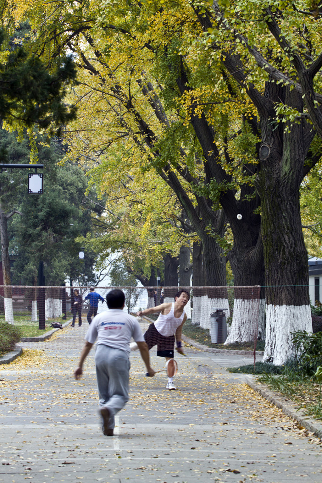 南京玄武湖游览指南,南京玄武湖几级景区