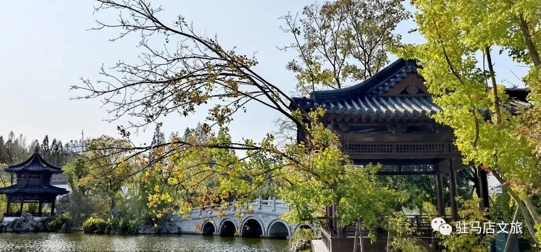 天中明珠|一眼就爱上的园林