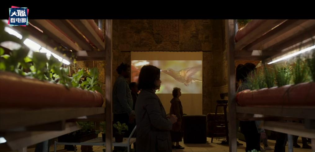 鏈堝厜楠戝＋椹厠涓庡彶钂傛枃,鏈堝厜楠戝＋椹彲