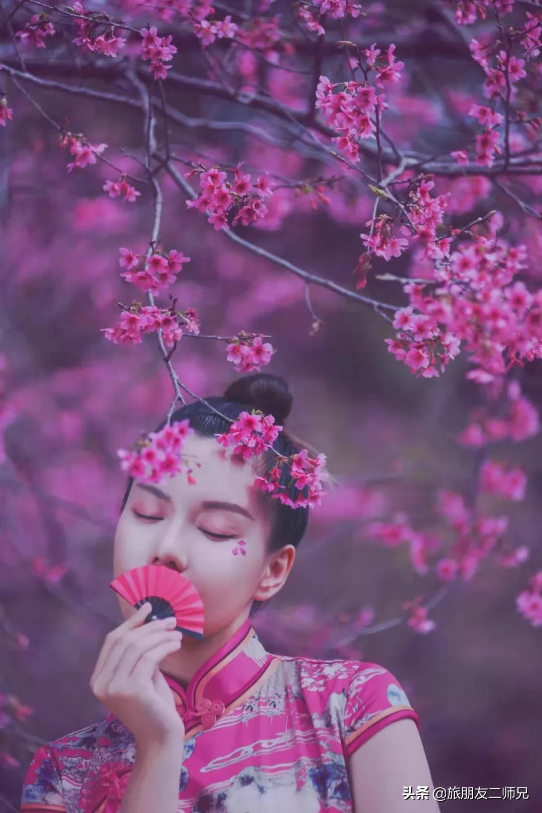 广州花都梯田油菜花,广州徒步赏油菜花路线