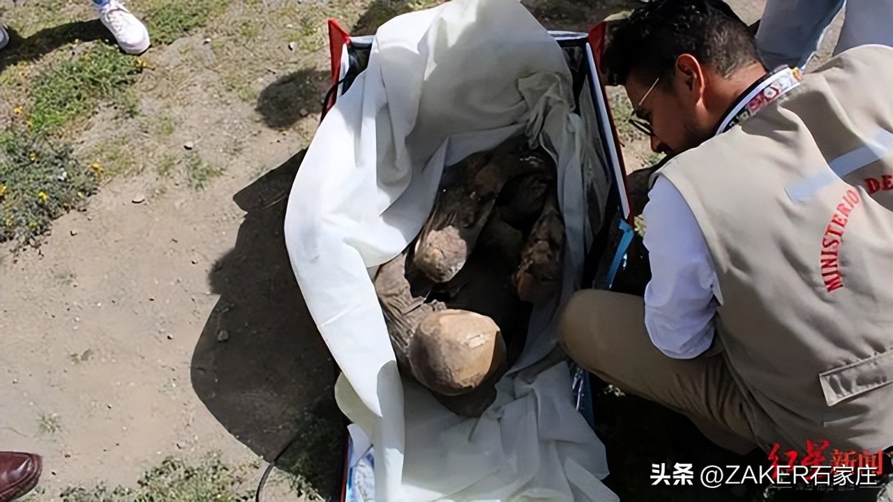 早新闻3.3|石家庄市劳动监察举报热线变更；这类考试将于3月4日至3月7日举行；这场招聘会就业岗位5万余个