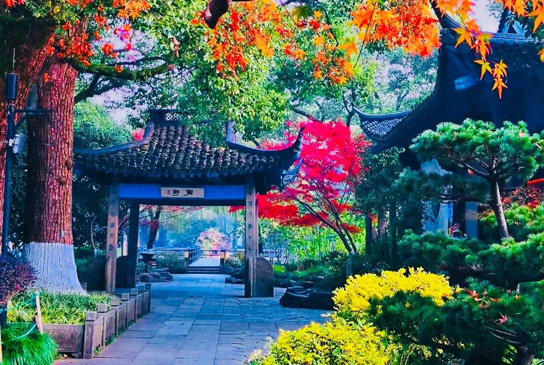 杭州西湖大雪纷飞,杭州西湖风景名胜区