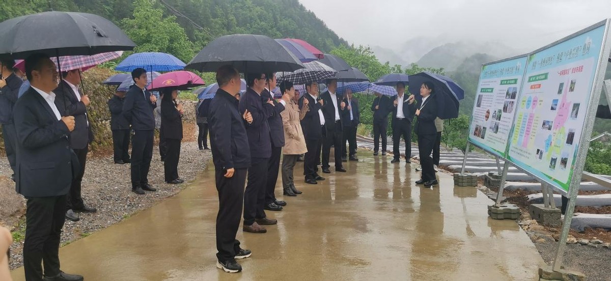 镇安观摩会重点项目,镇安县交流会