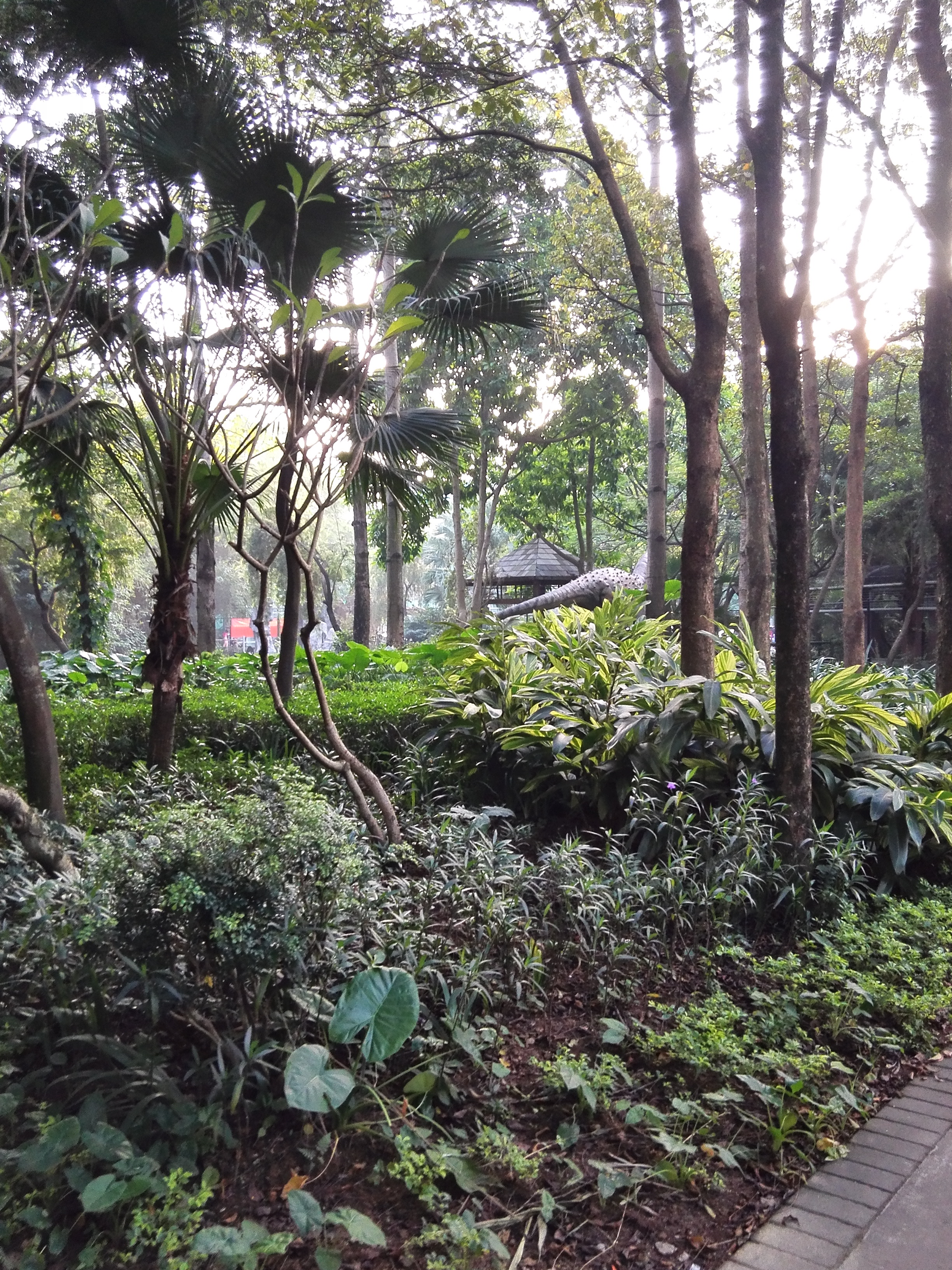 深圳平峦山公园,深圳宝安平瑾山公园图片大全