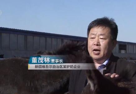 小伙三年养了4000头母驴，感情深厚一头也不卖，但一天还净赚4万