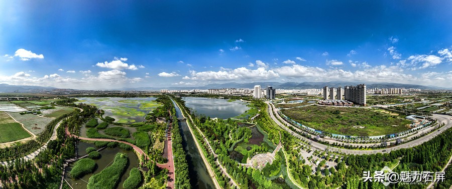 早安•云南|“保山之眼”青华海，候鸟翩跹“湿”情画意