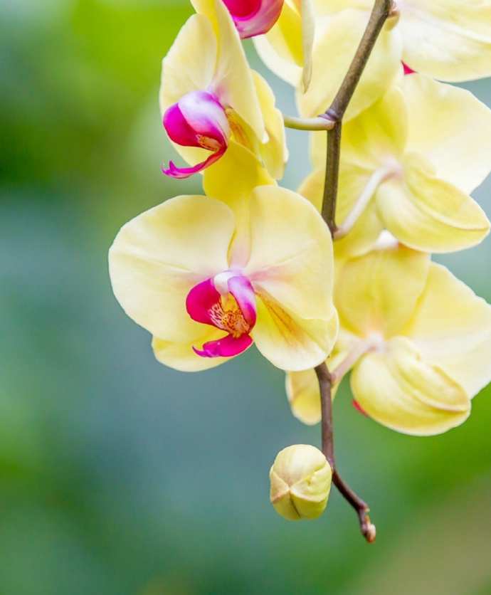 不管夫妻还是情人，若对方不联系你了，这么处理才最聪明