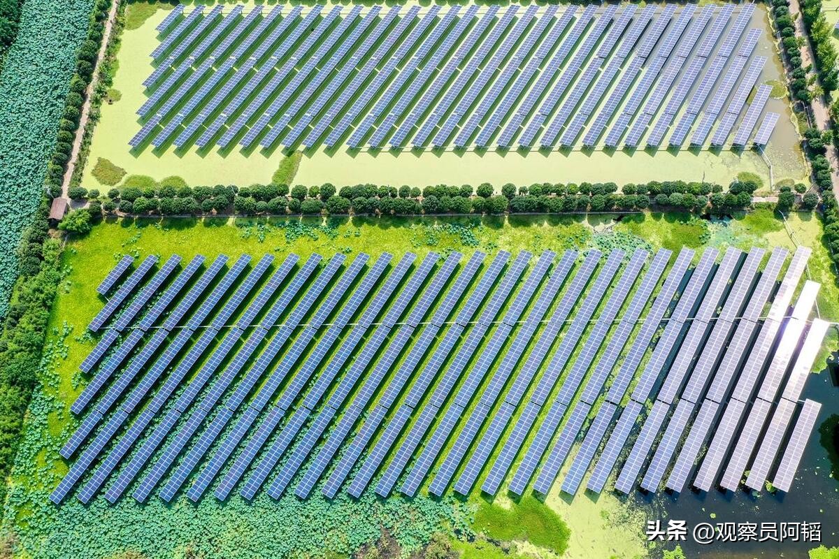 未来农业发展趋势论文,农业将是国家未来的主要发展方向