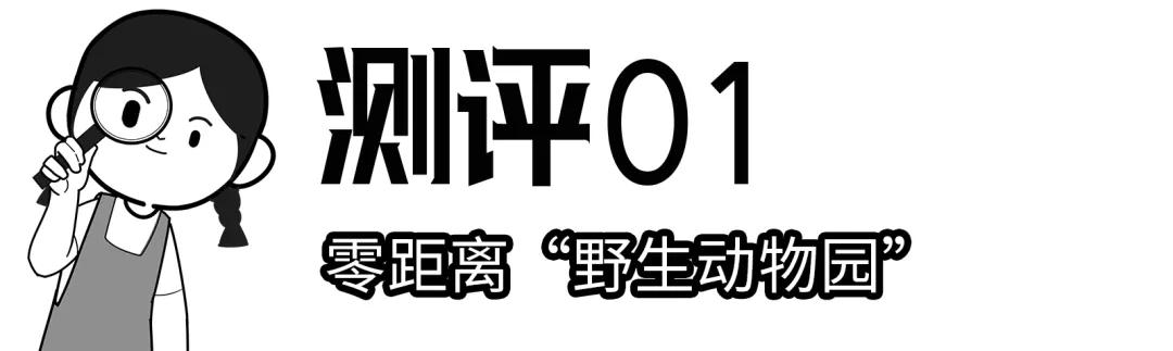 深圳4个绝美海岛,深圳值得游玩的小岛