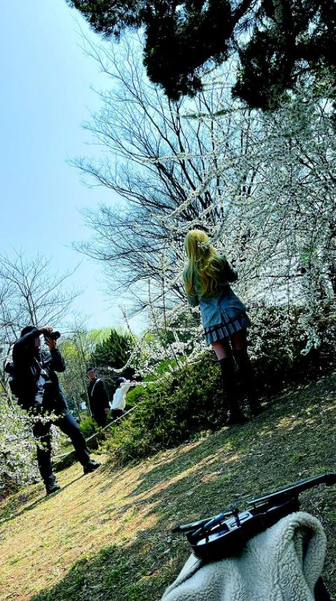 今年滨城春来早花期普遍提前看“花花世界”注意别迟到