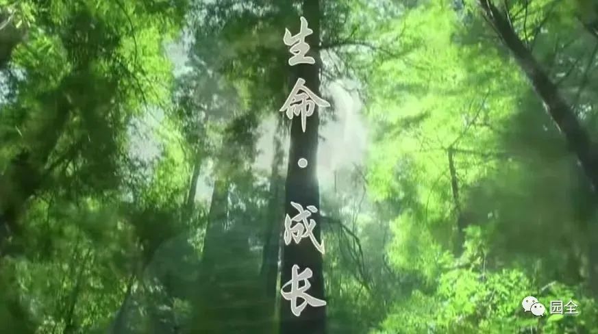 暑假让孩子看这些纪录片,暑假给孩子看这四部纪录片