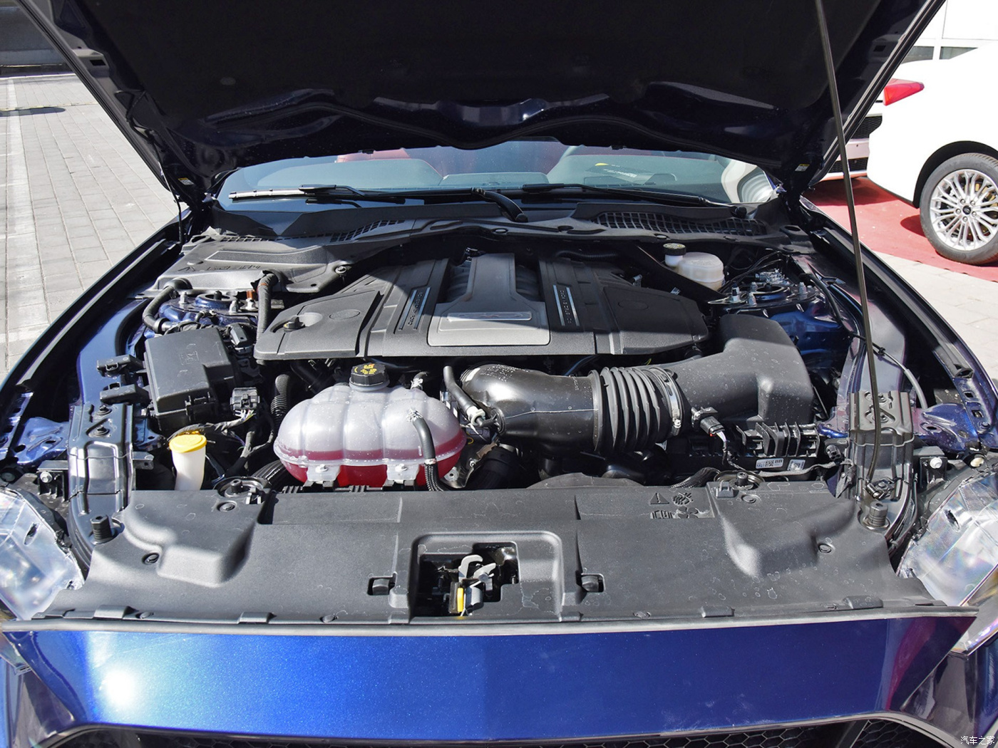 mustang野马买哪款,18年进口mustang野马2.3t售价