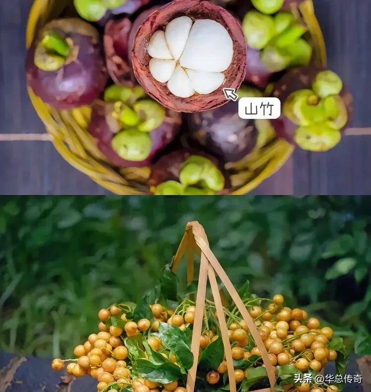 为什么海南的水果比内地贵,海南的蔬菜水果为什么贵