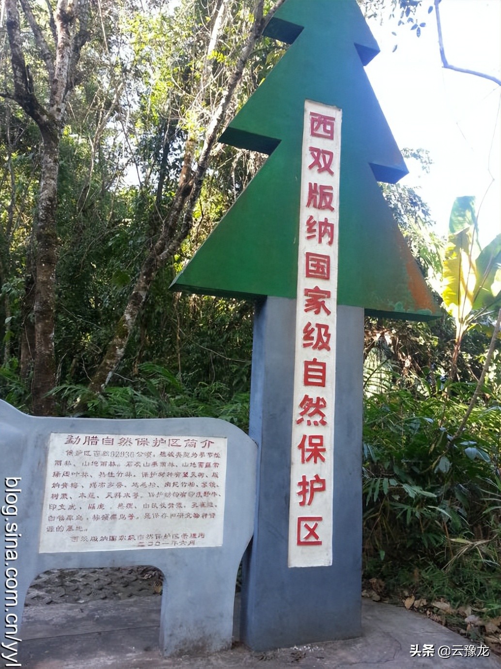 西双版纳磨憨自驾游攻略,自驾游云南版纳旅游攻略