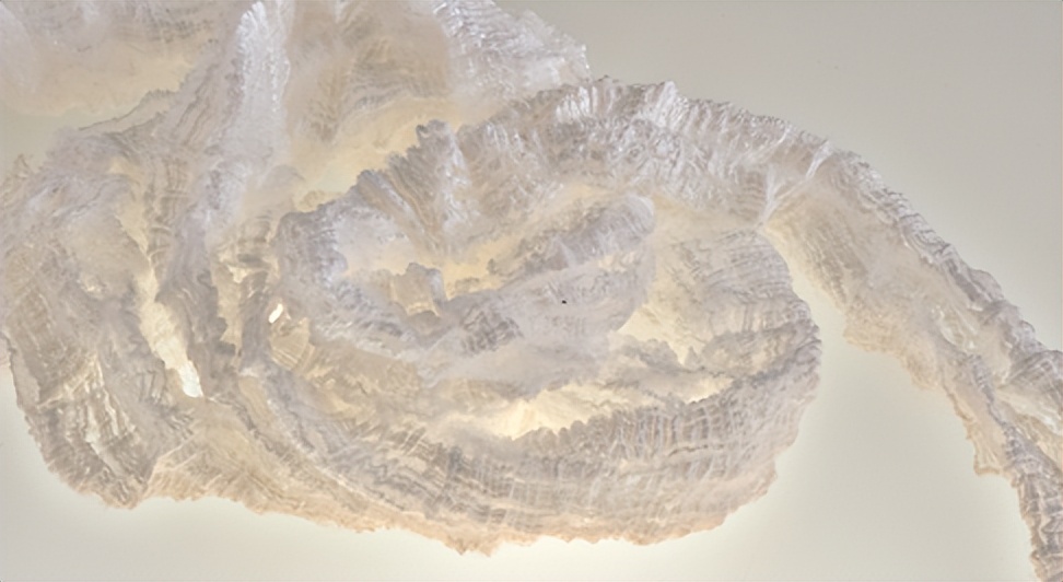 南通南纤集团,南纤公司是做什么的