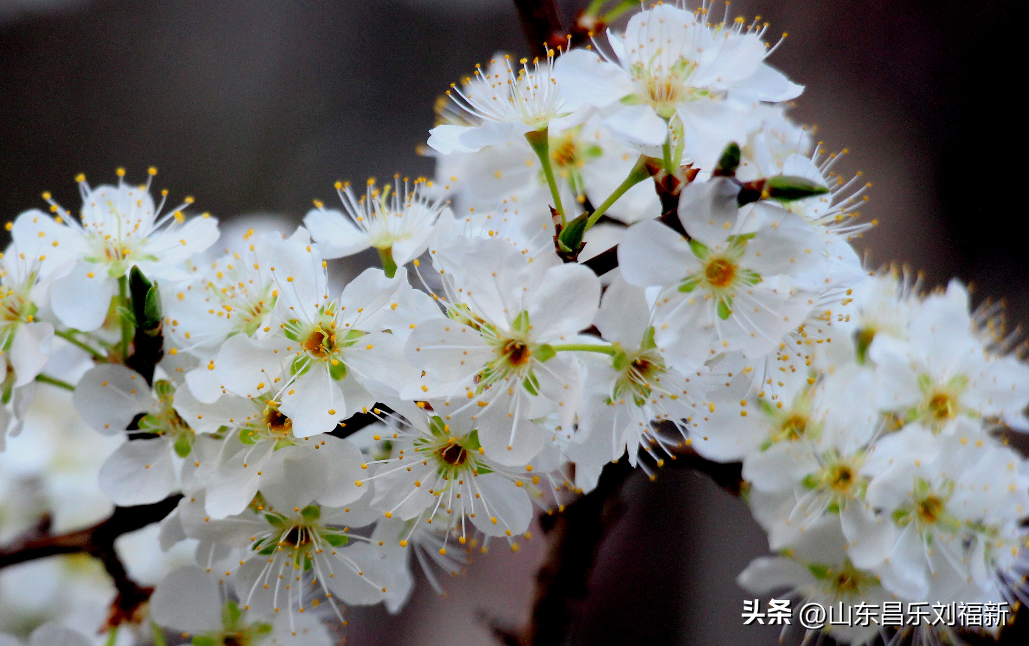 2023年3月中旬散拍·一点儿感受