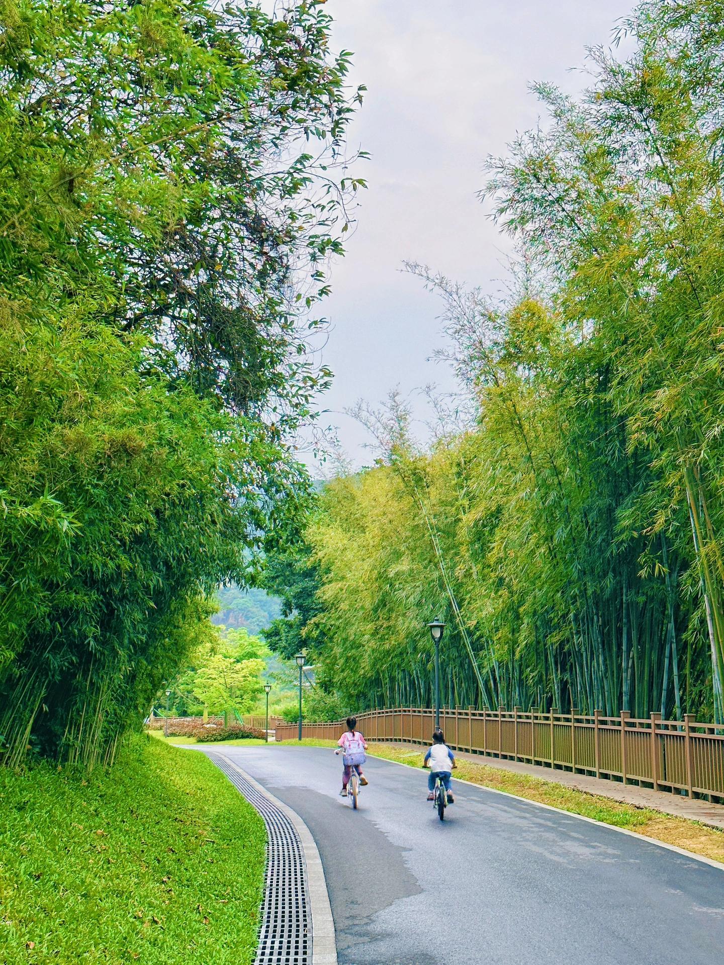 广州黄埔绿道游玩攻略,广州黄埔骑行绿道详细线路图