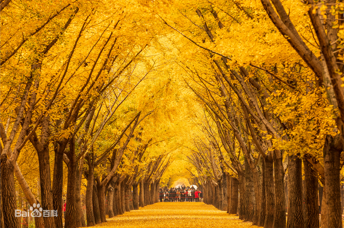 为什么百强县邳州排名比沭阳高,邳州与沭阳哪个发达