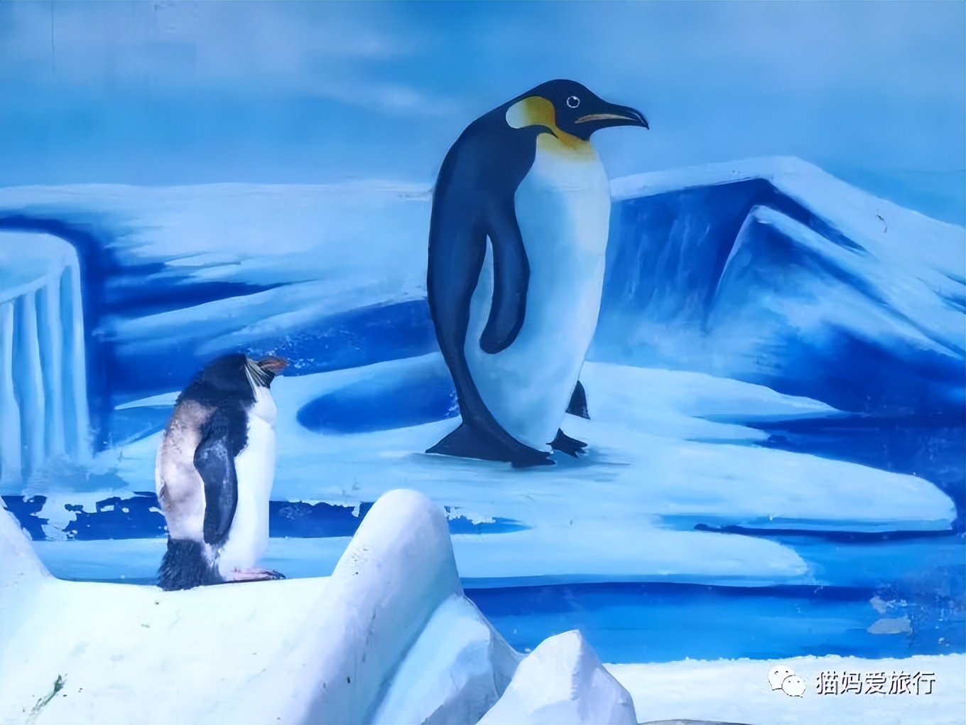 5天“趣”玩青岛，我的私藏遛娃路线