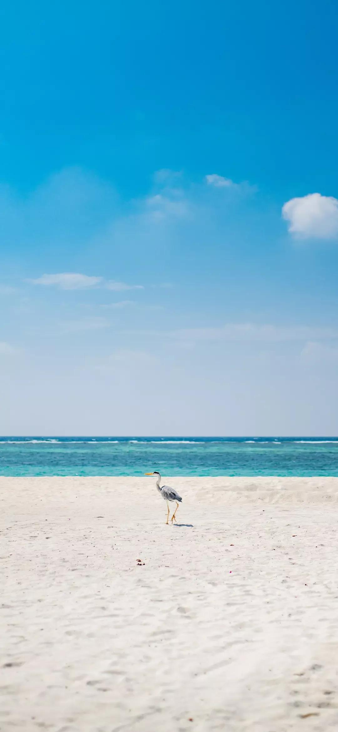 大海壁纸｜大海边，守候朝霞，聆听海浪的乐章