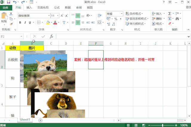 excel上传大量数据遇到问题,excel批量上传照片并快速对齐