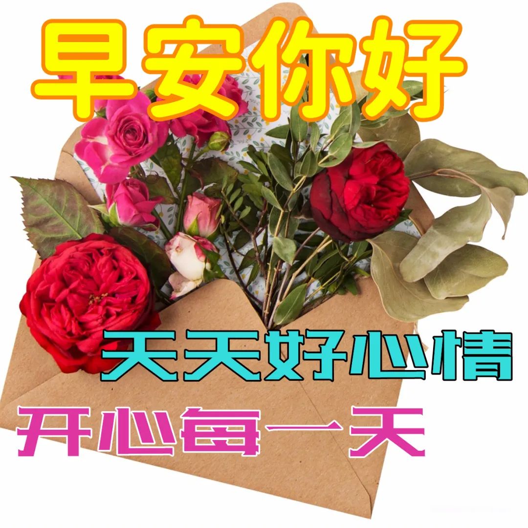 早安真人表情包图片大全,早安表情包图片大全