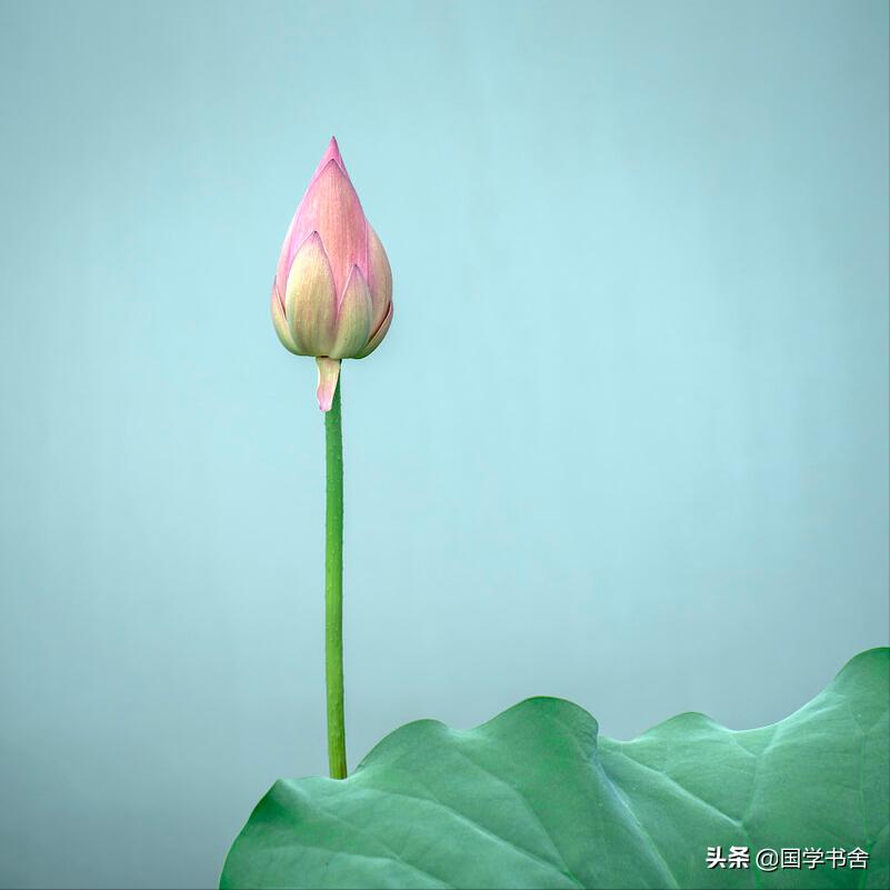 论语里感悟人生的经典句子,论语中表达遗憾的句子