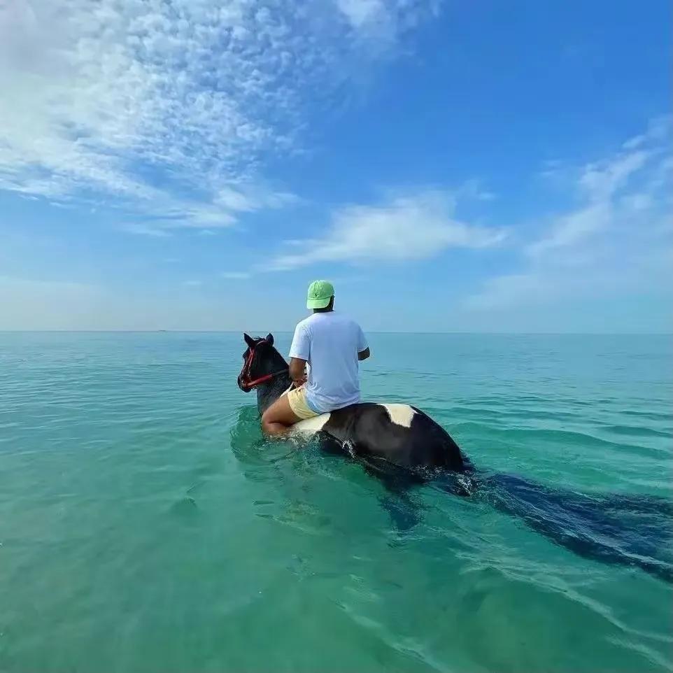 很久不换头像的男生,长期不换的微信头像男生