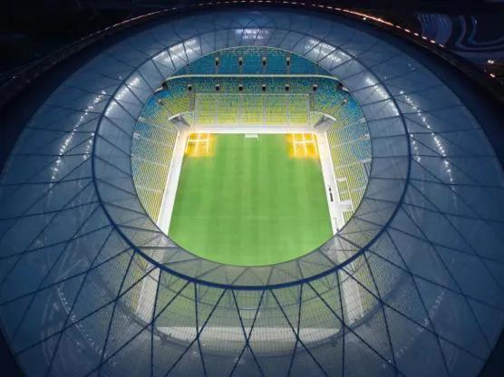 拥有足球场的球队,有专业足球场的球队