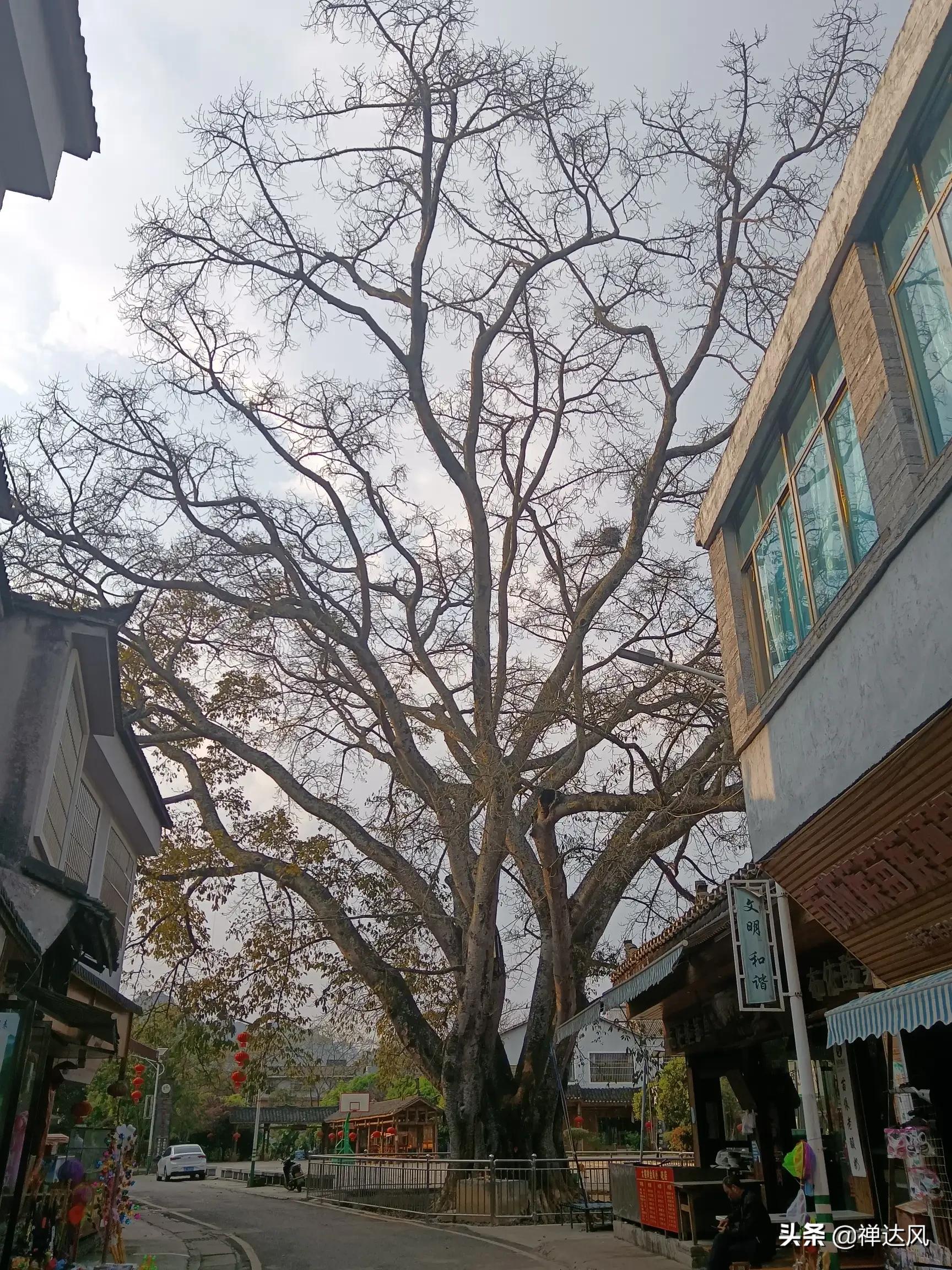 贵州深度旅游自由行,贵州旅游深山攻略