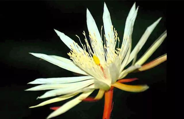 世界上最贵的东西也是最常见的,最贵的东西1g价值超出你的想象