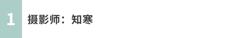 昆虫摄影艺术展,昆虫世界摄影欣赏