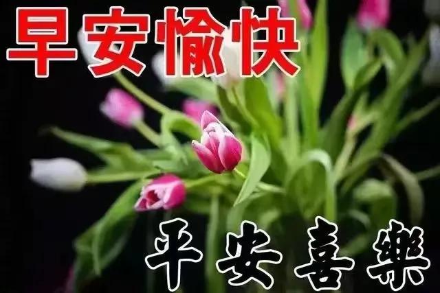 最新版早上好最漂亮表情图片,精美早上好动态表情最新版
