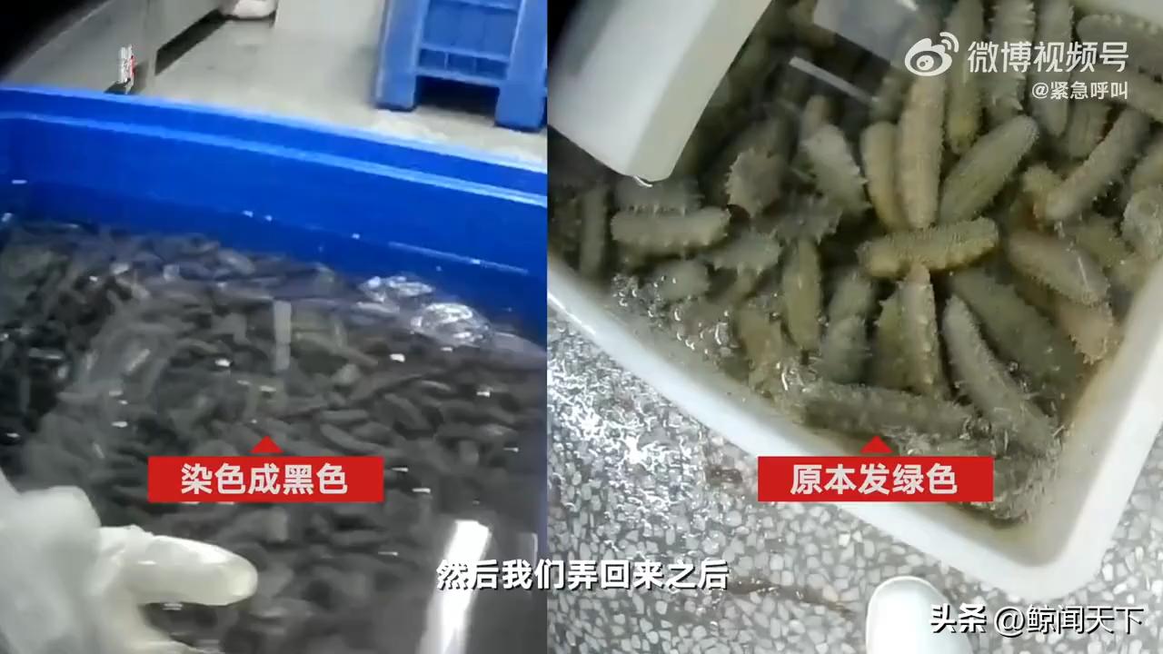 今年315都曝光了哪些,今年315都爆出了哪些坑