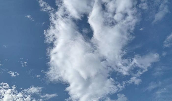 仙股退市前五只股票,2019年退市仙股