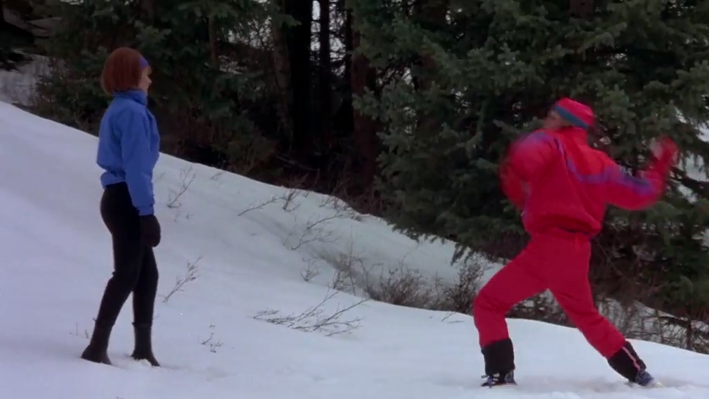 让人啼笑皆非的一部公路喜剧《阿呆与阿瓜》