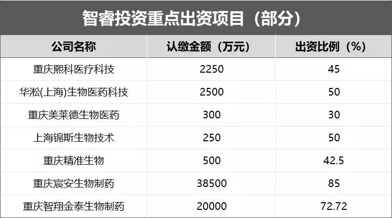 被严重错杀的港股股票,被严重错杀的优质蓝筹股