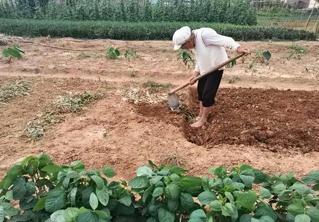 我，22年跳槽到台资工厂上班，年薪28万，不料不到1个月就走人了