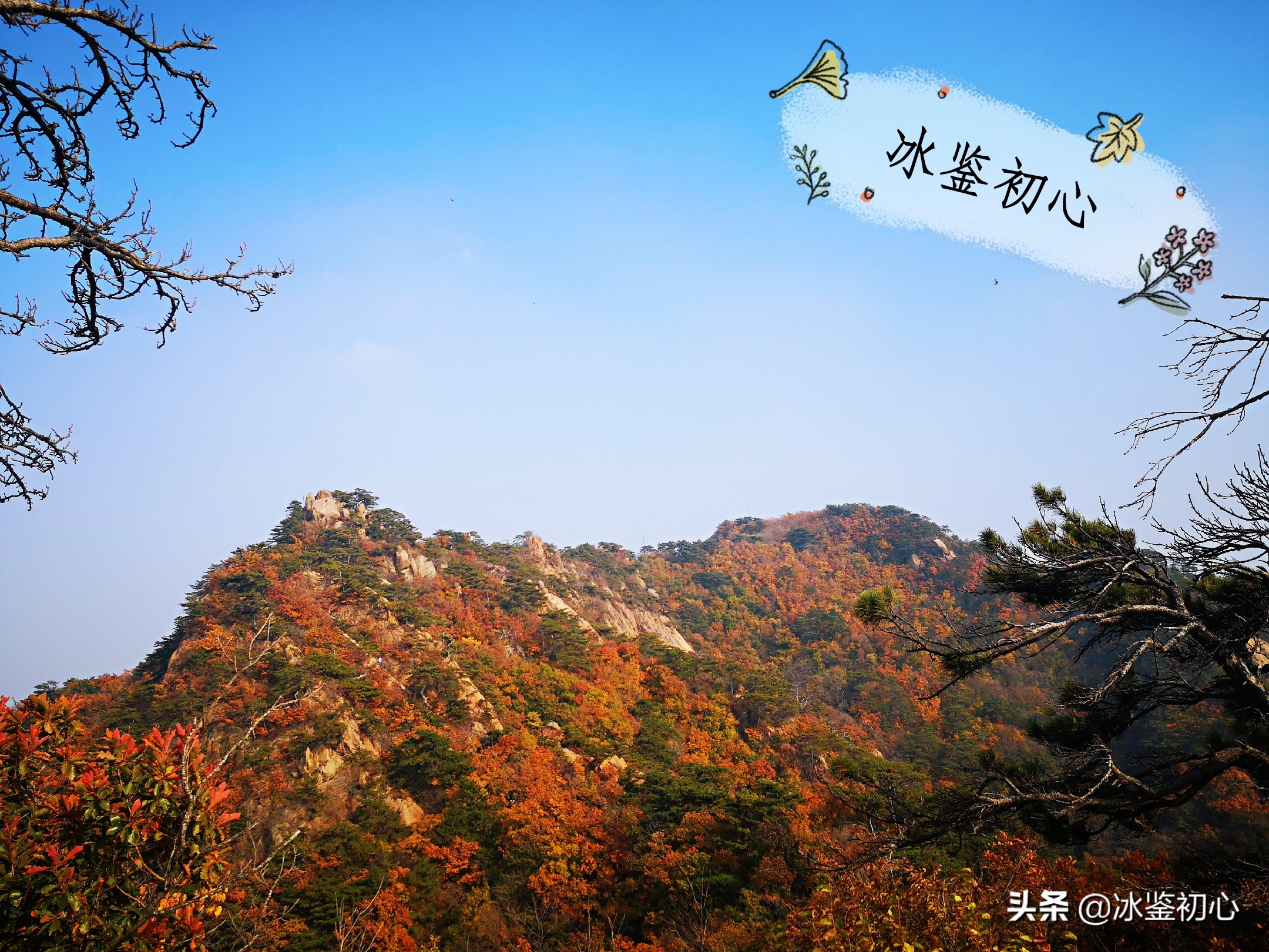 辽东第一山,辽东第一山是什么山