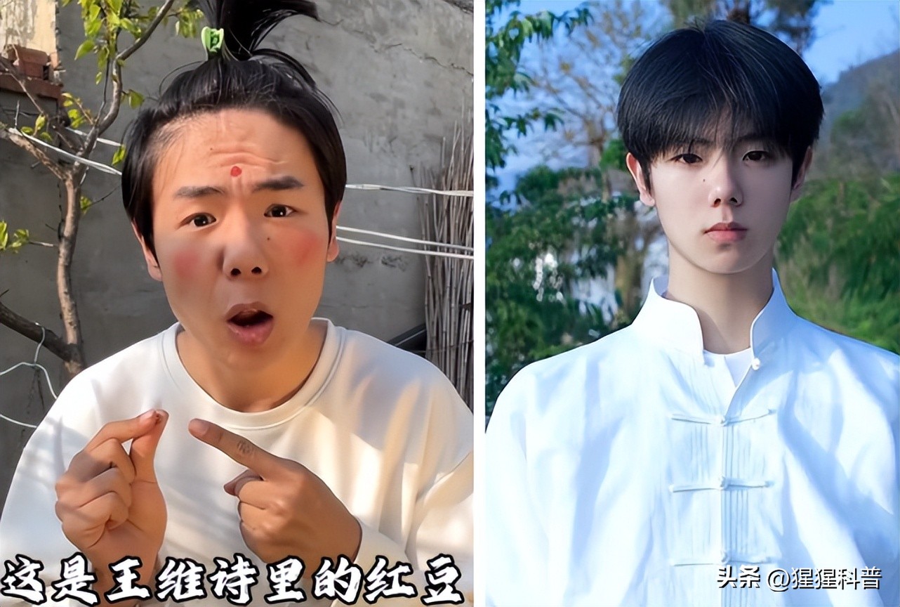 网红麦小登为啥排第二,麦小登网红排行榜