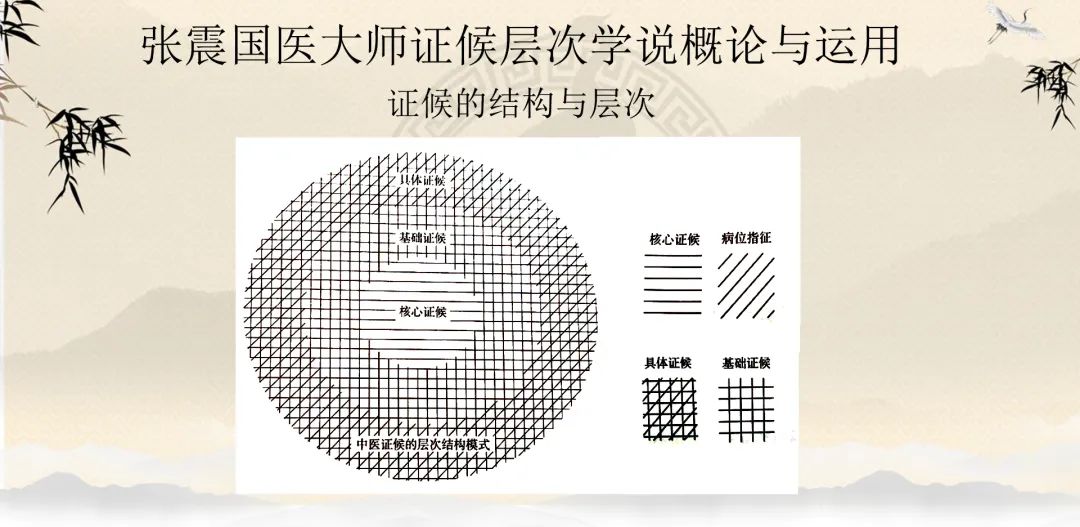 中医疏调气机法讲座,国医大师张震讲疏调气机汤视频