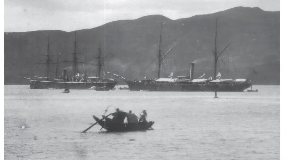 李鸿章软弱导致中法战争不败而败,中法战争双方实力对比